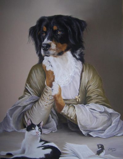 bouvier bernois habillé avec chat
