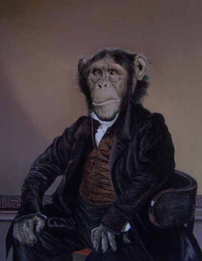 chimpanzé assis habillé