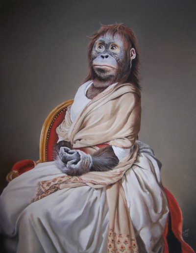 orang outan assis habillé