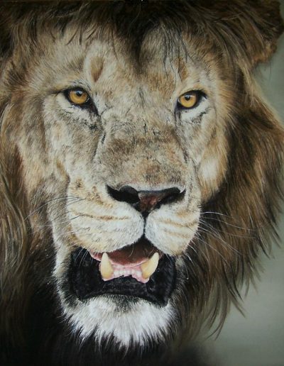 tête de lion