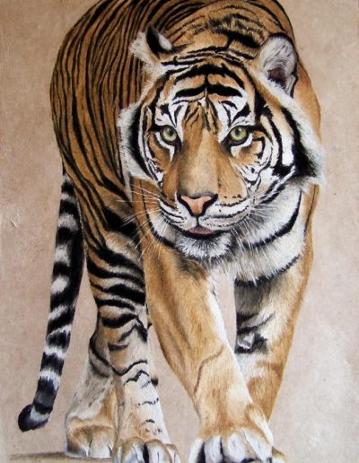tigre marchant pastel