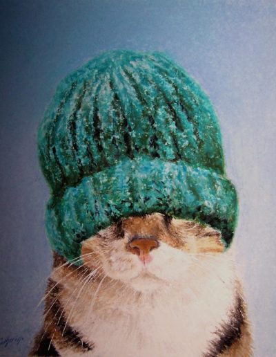 chat avec bonnet