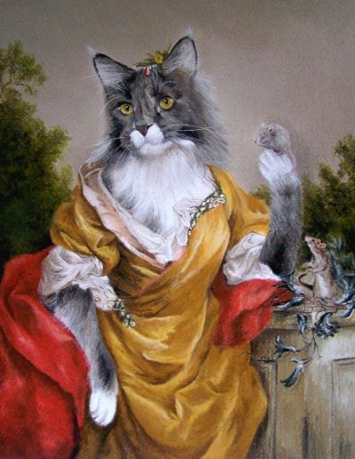 chat avec robe