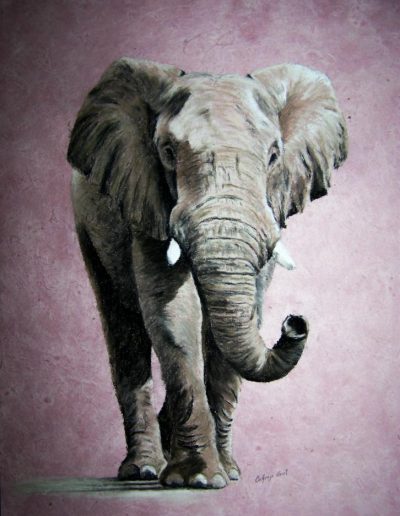 eléphant marchant
