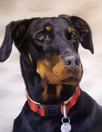 ethane beauceron portrait