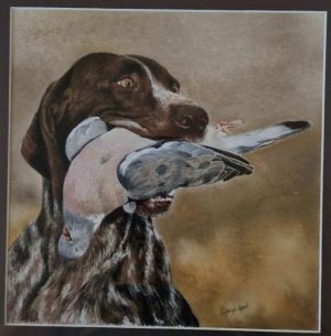 retour de chasse