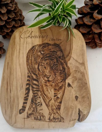tigre